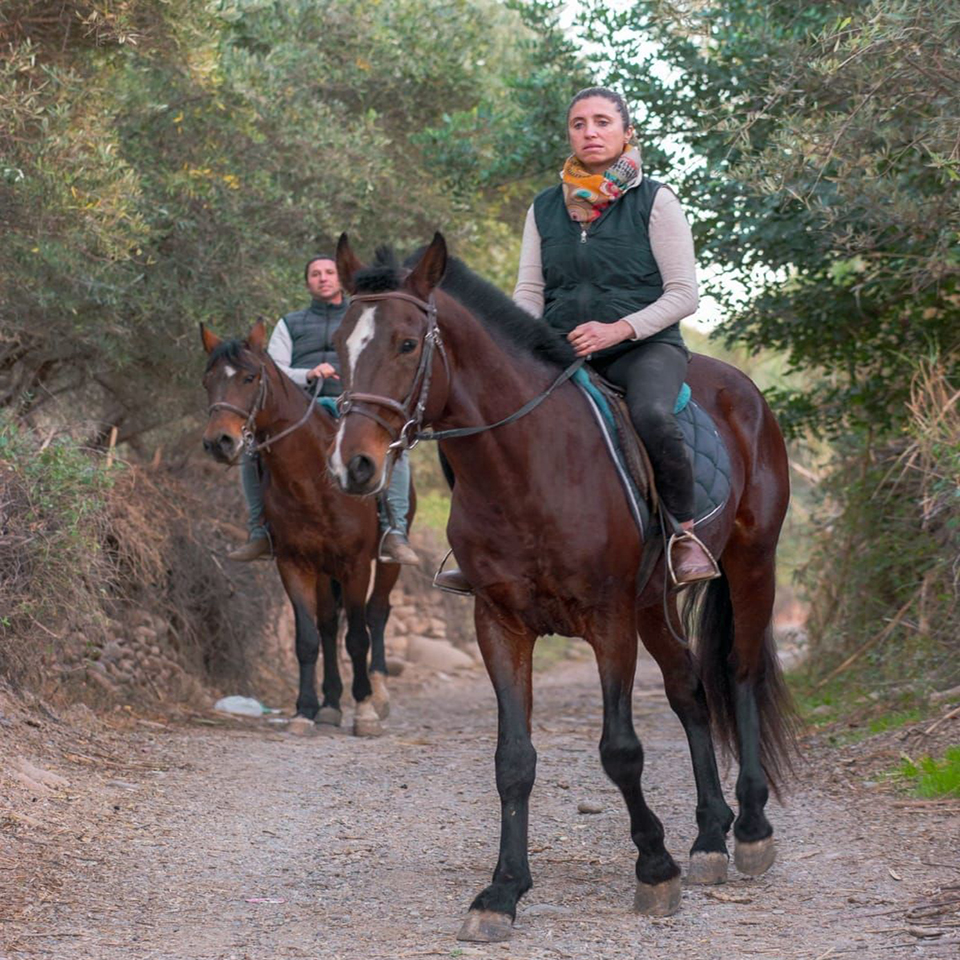 Promenade à Cheval dans l’Atlas