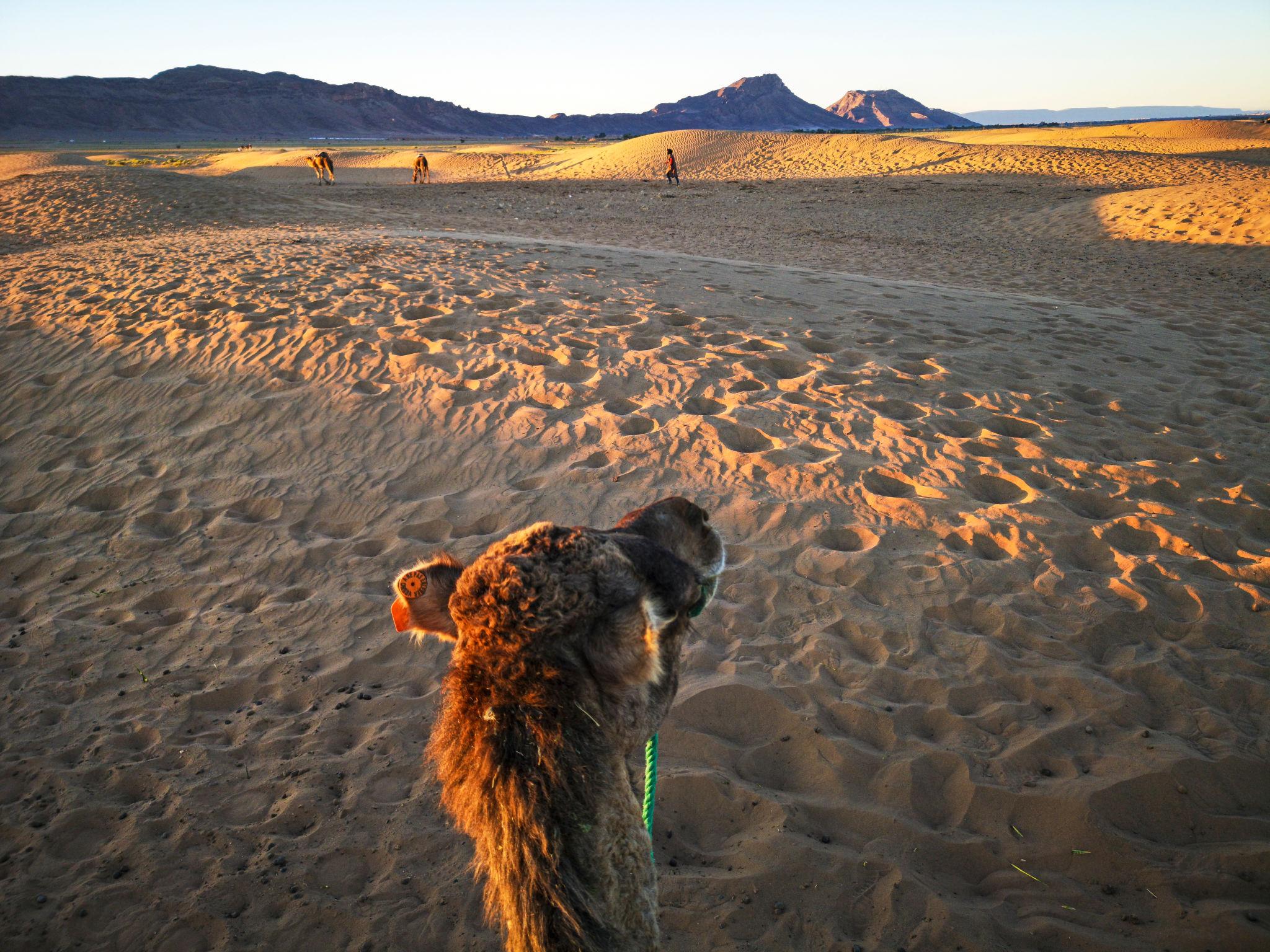 Marrakech – Ait Ben Haddou - Zagora
